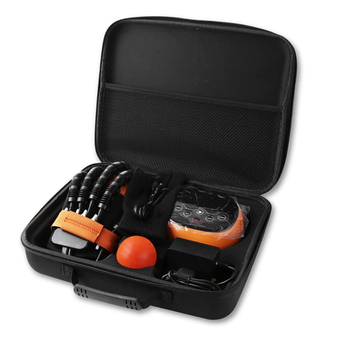 NeuralFlex™ Recovery Travel Case